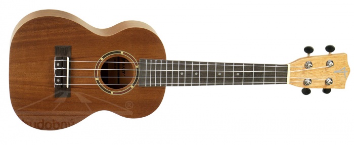 Truwer UK 500 24 - koncertní ukulele v přírodní barvě